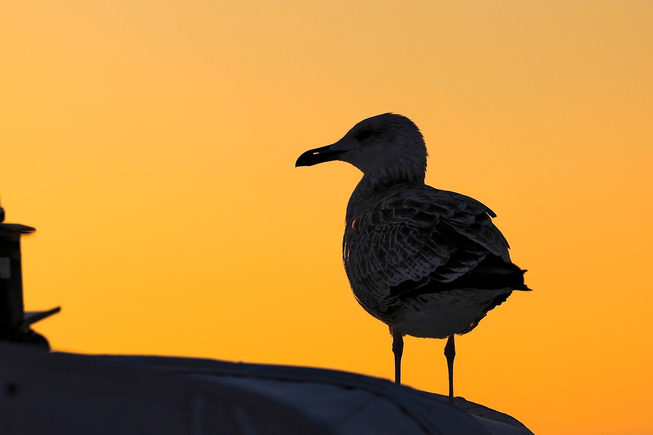 모다 해안길에서 칼라미시 마리나까지 이어지는 아시아 지구 요트 정박지 산책 경로와 이용 팁