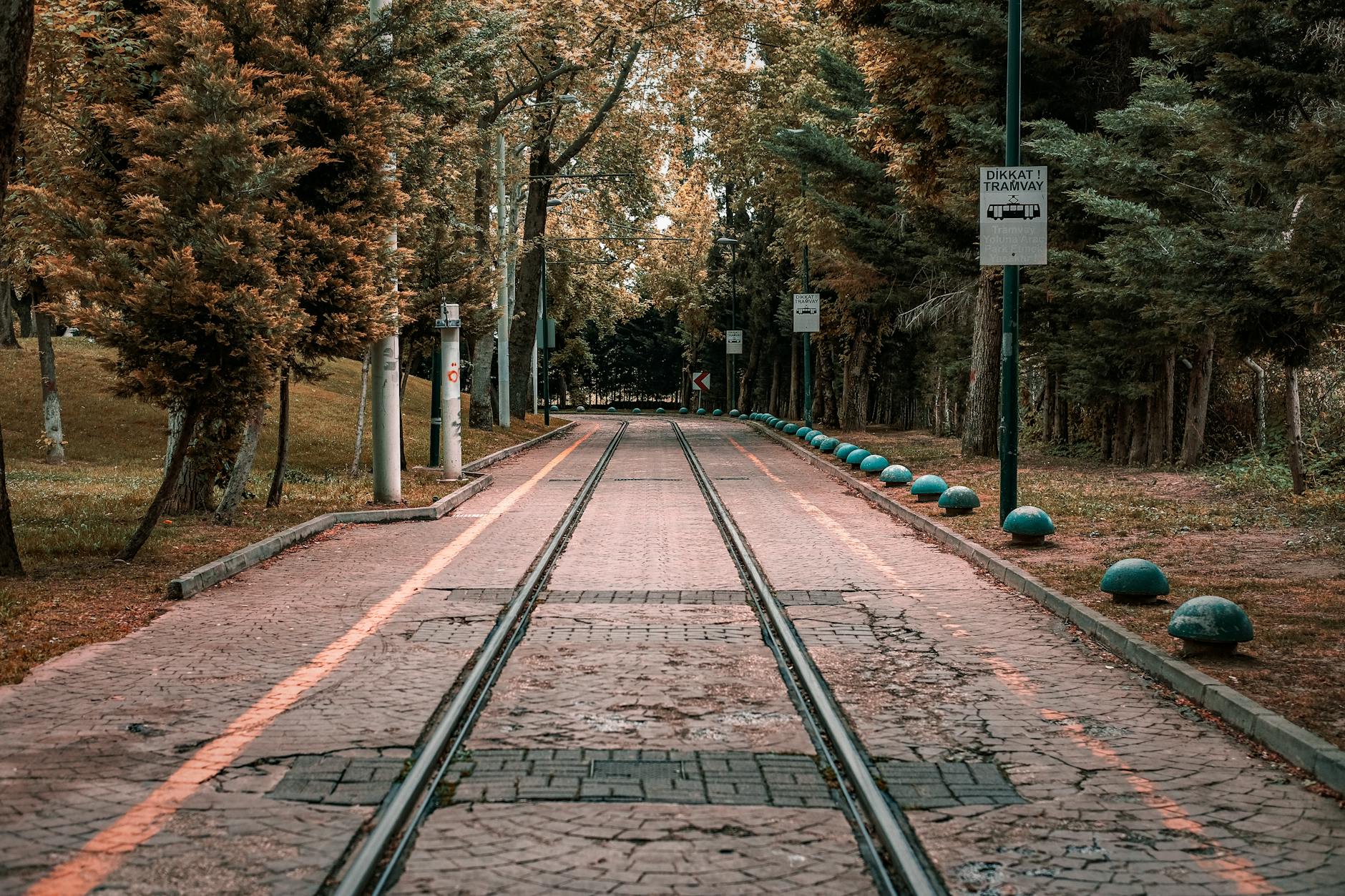 울창한 나무들 사이로 뻗어 있는 제이틴부르누 지역의 노면 전차 선로와 산책길 모습입니다.